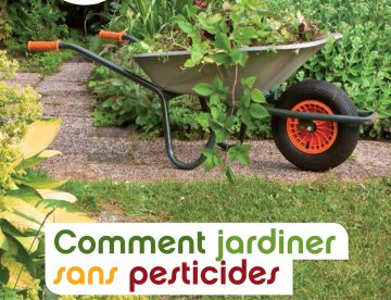 Comment jardiner sans pesticides? - adalia